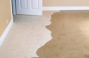 Slab Leak and Repair