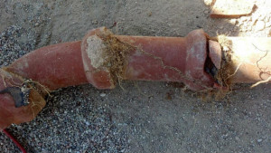 sewer line replacement