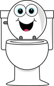 toilet plumbing